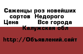 Саженцы роз новейших сортов. Недорого. › Цена ­ 350 - Все города  »    . Калужская обл.